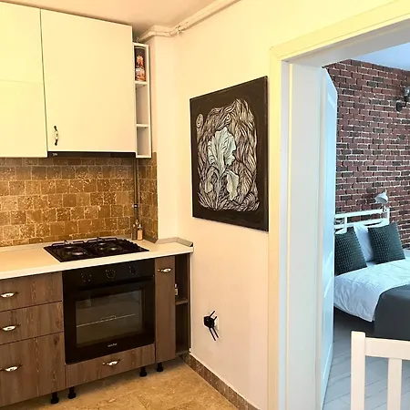 Silent Whisper - Near Old Town & Hillside Apartment Brasov